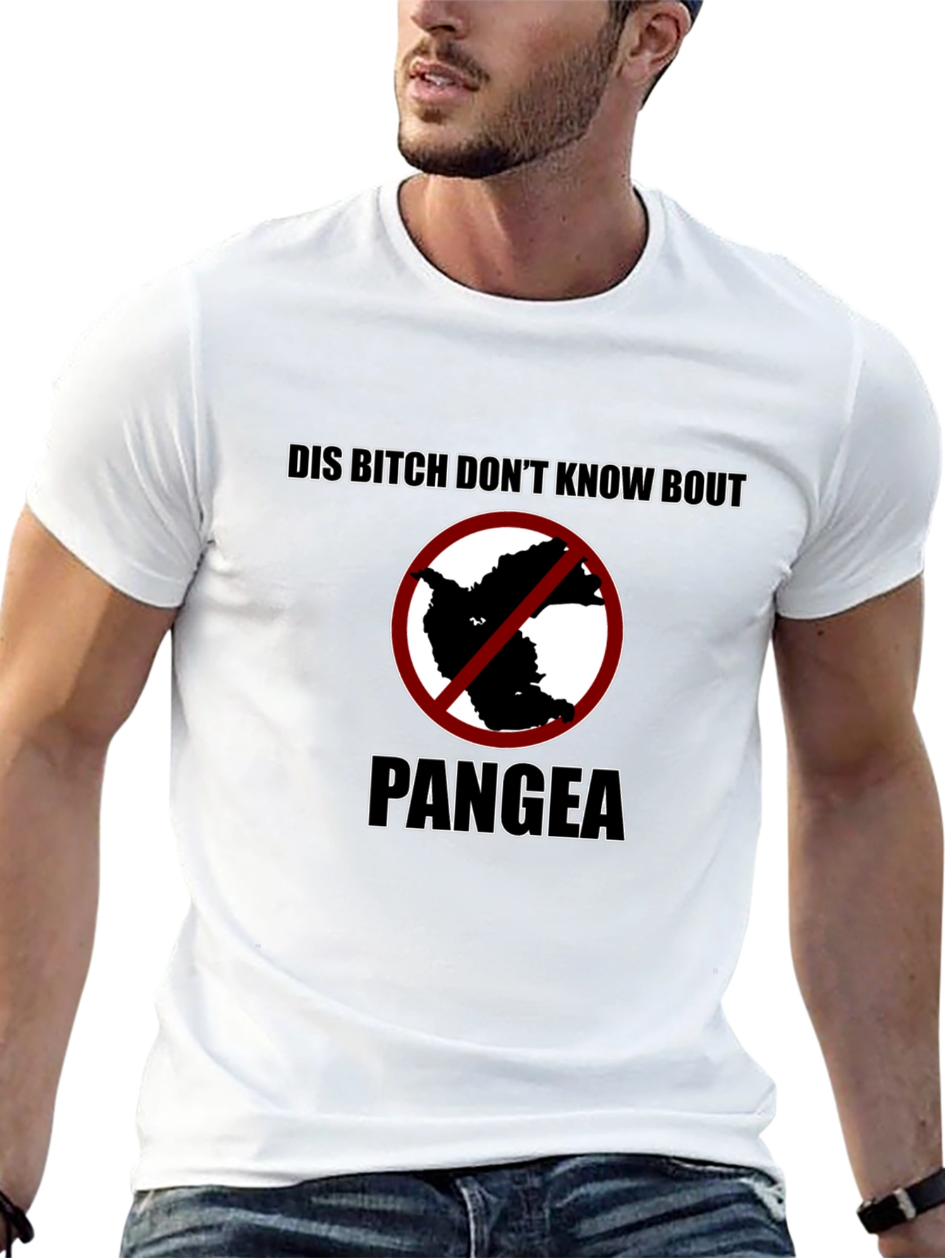 Pangea T-Shirt - Funny Earth Science Tee