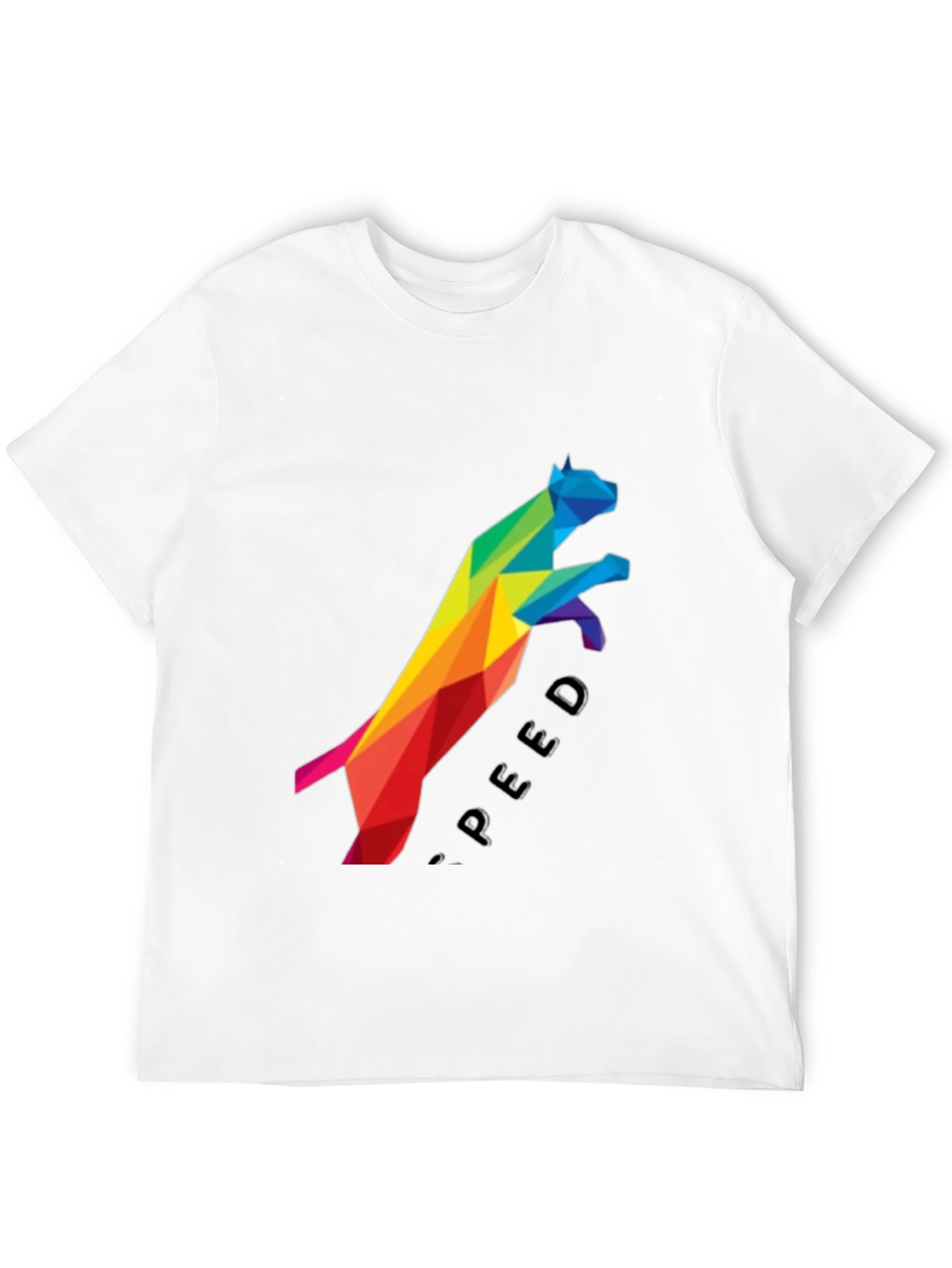 Geometric Rainbow Cat Speed Graphic Tee