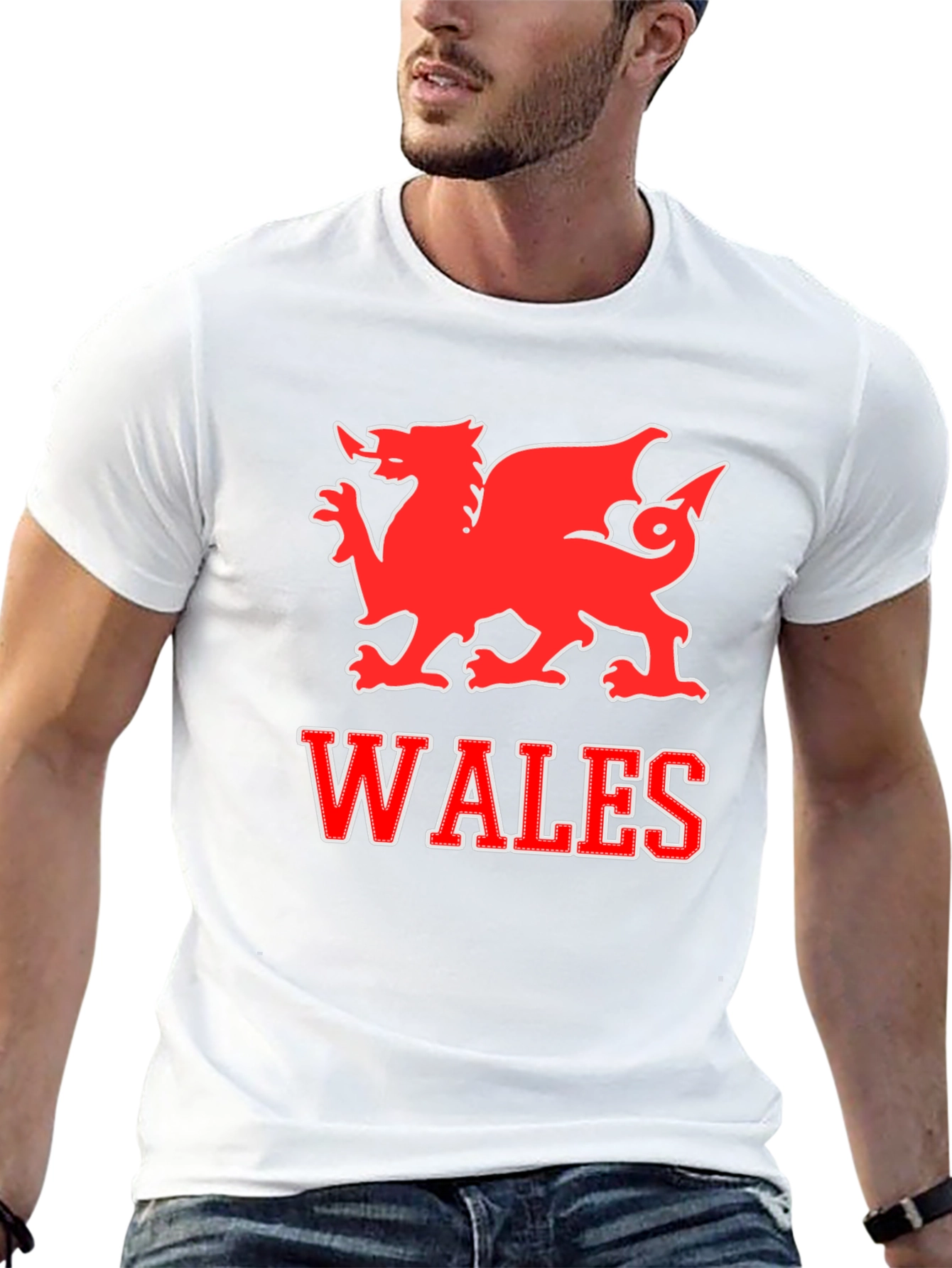 Wales Dragon T-Shirt - Welsh Pride