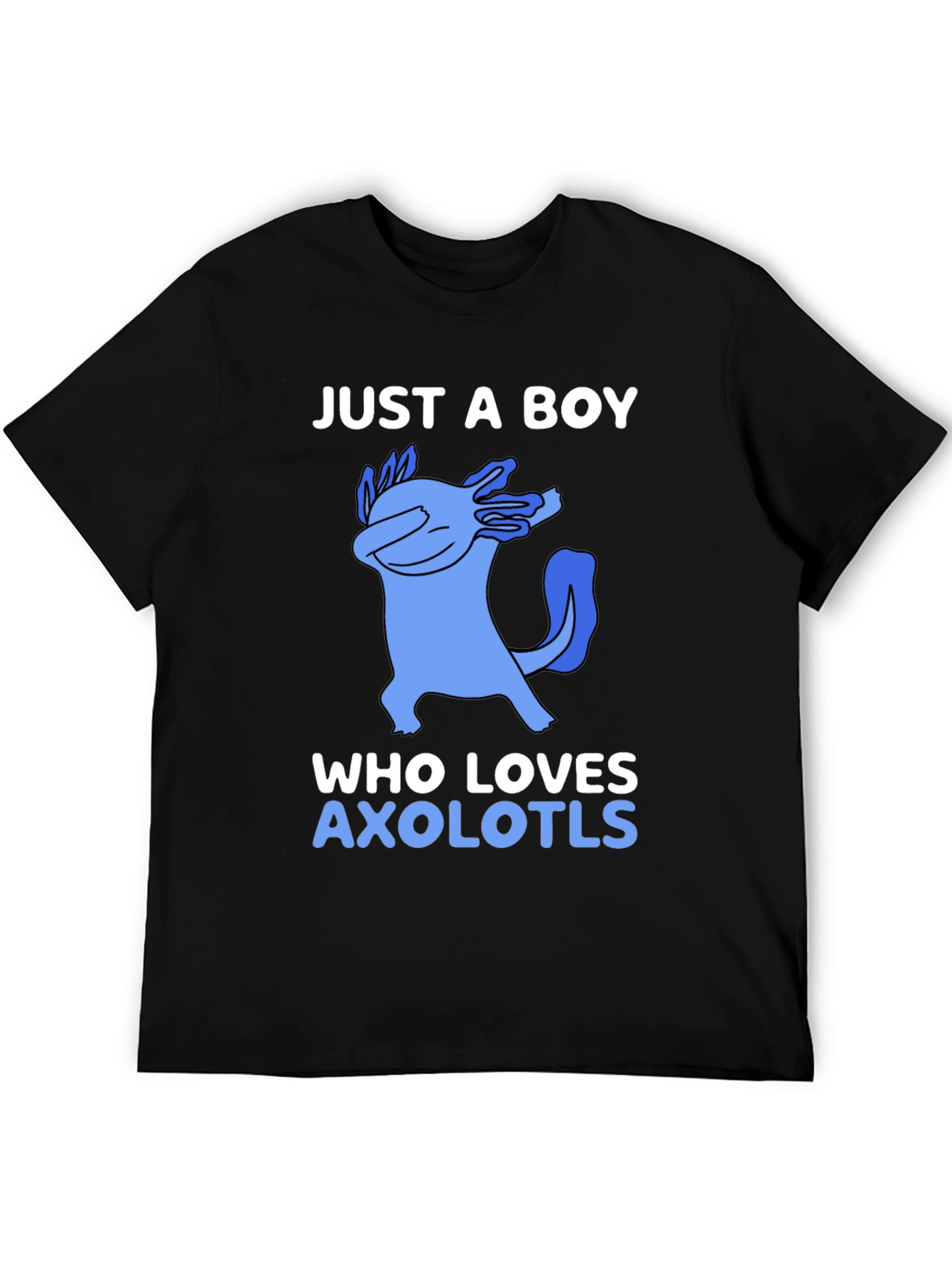 Just a Boy Who Loves Axolotls Graphic Tee