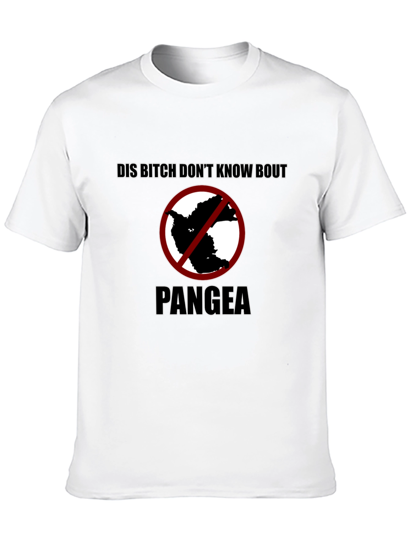 Pangea T-Shirt - Funny Earth Science Tee