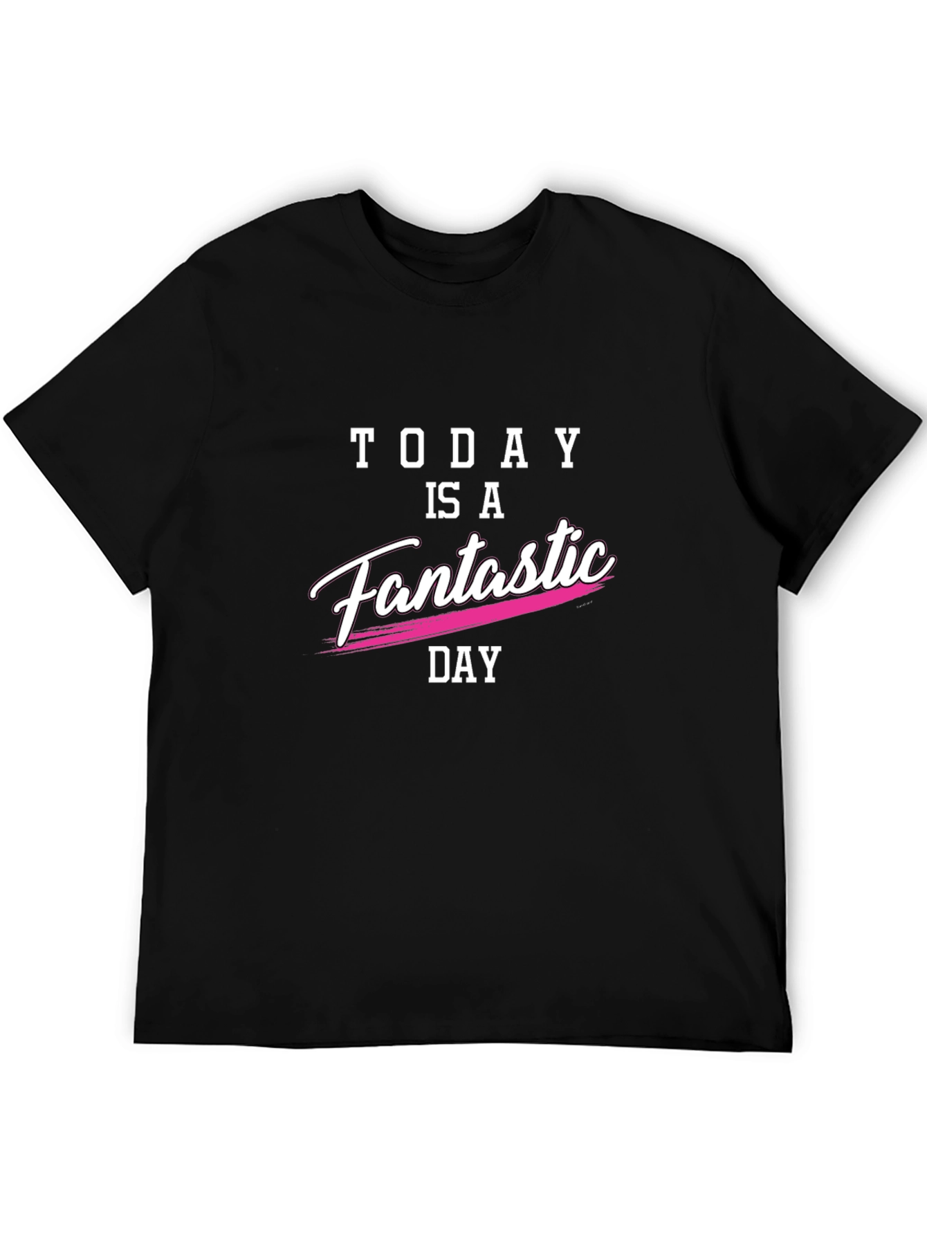 Today is a Fantastic Day Black T-Shirt