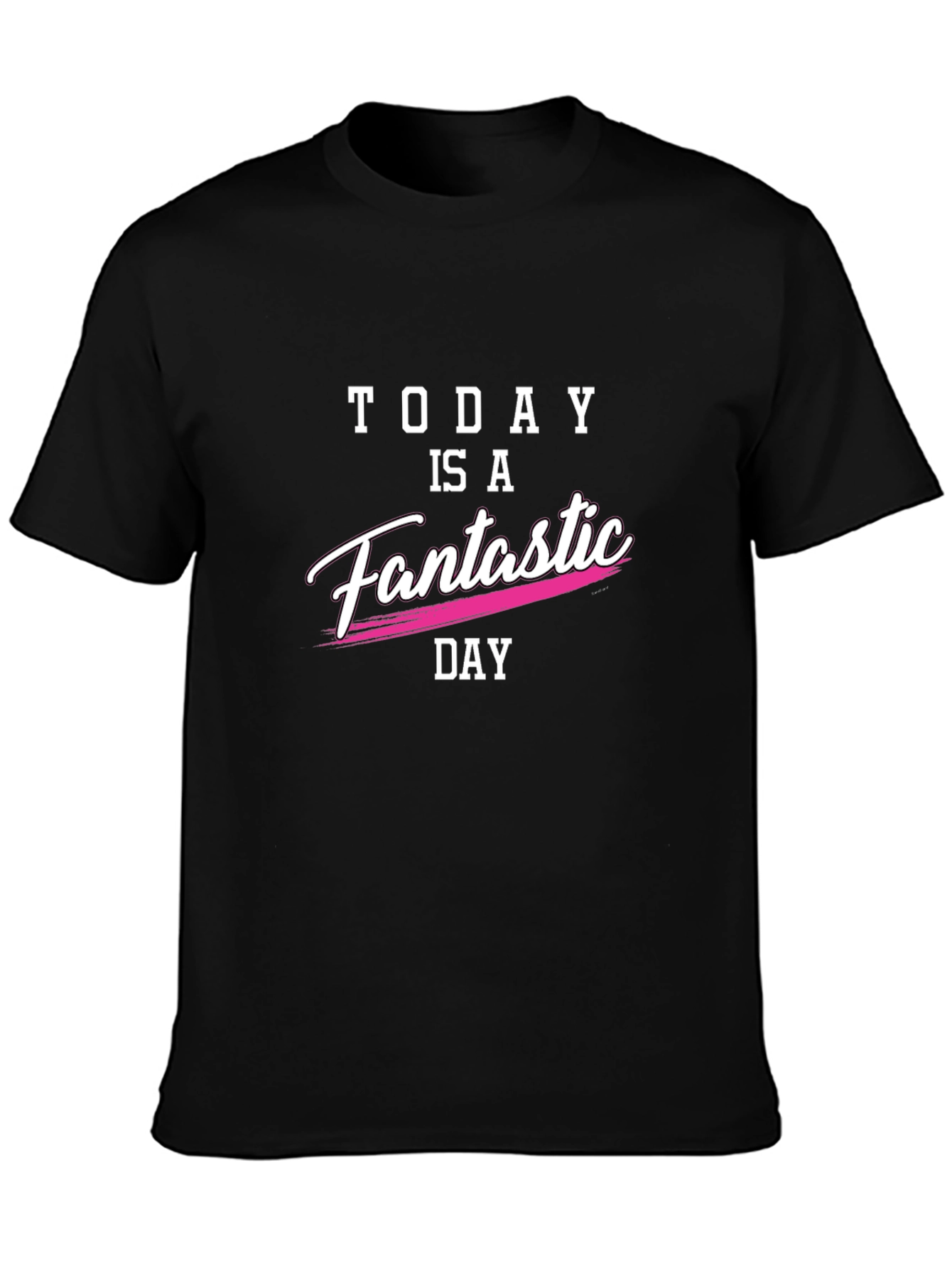 Today is a Fantastic Day Black T-Shirt