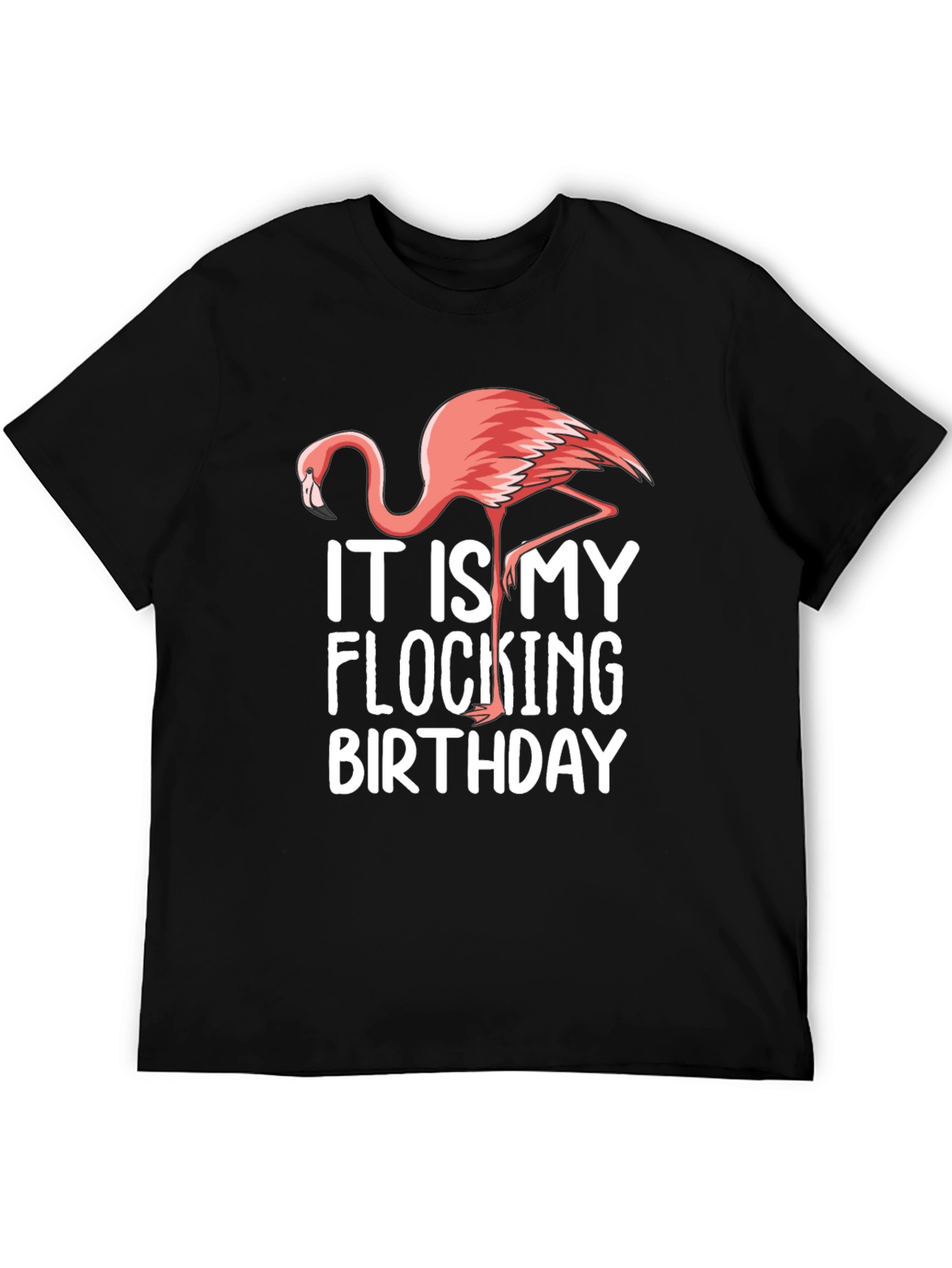 Its My Flocking Birthday T-Shirt Flamingo Graphic Tee