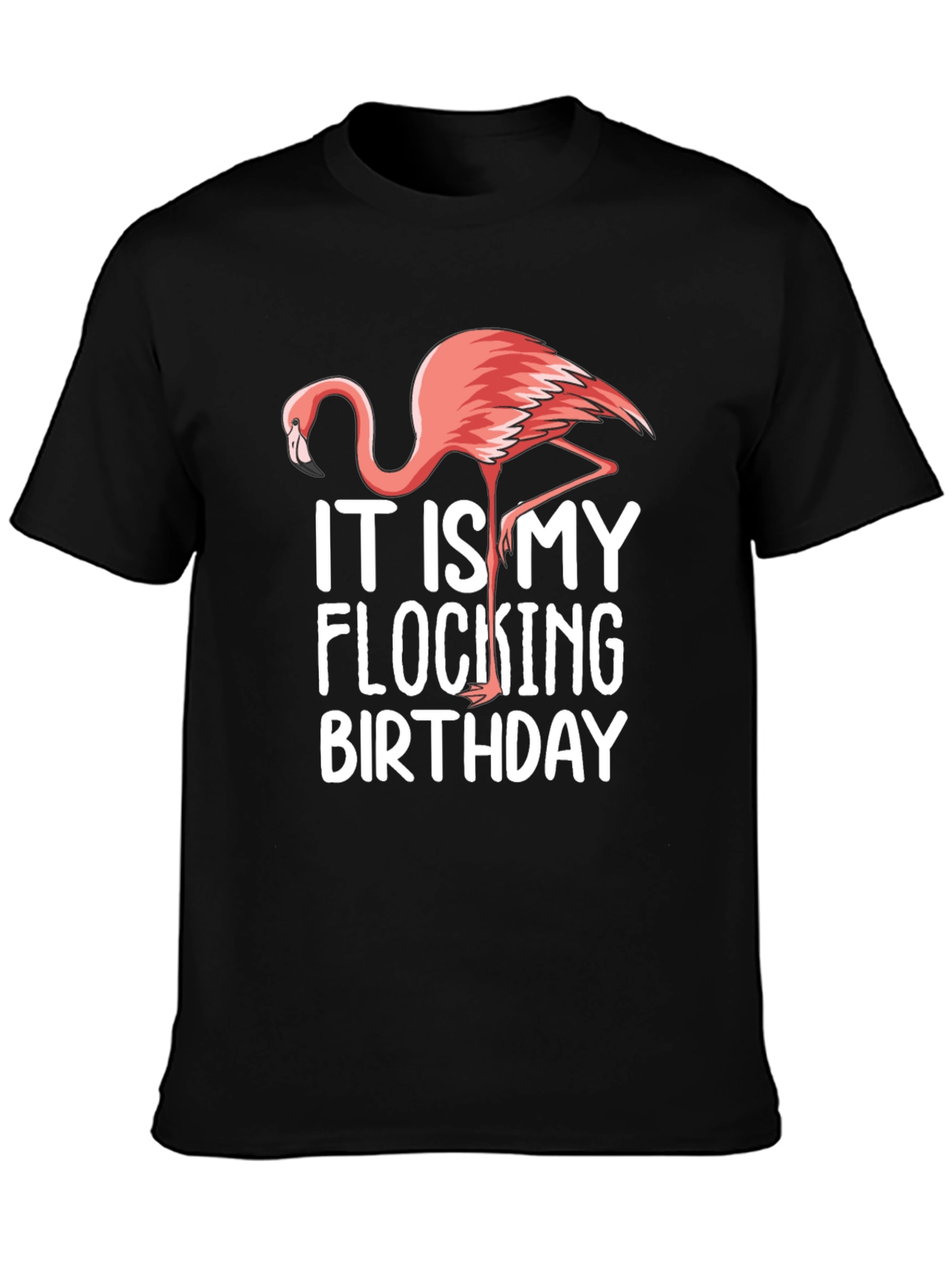 Its My Flocking Birthday T-Shirt Flamingo Graphic Tee