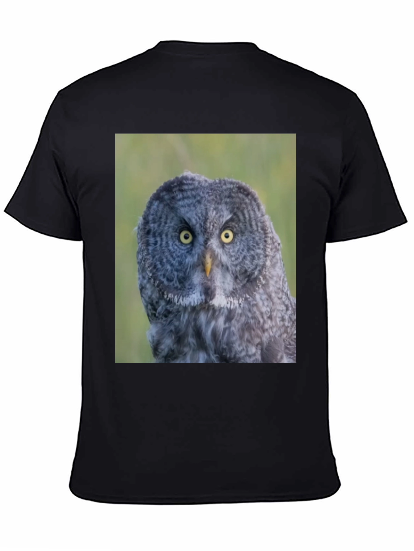 Owl Graphic Tee - Mens Black T-Shirt