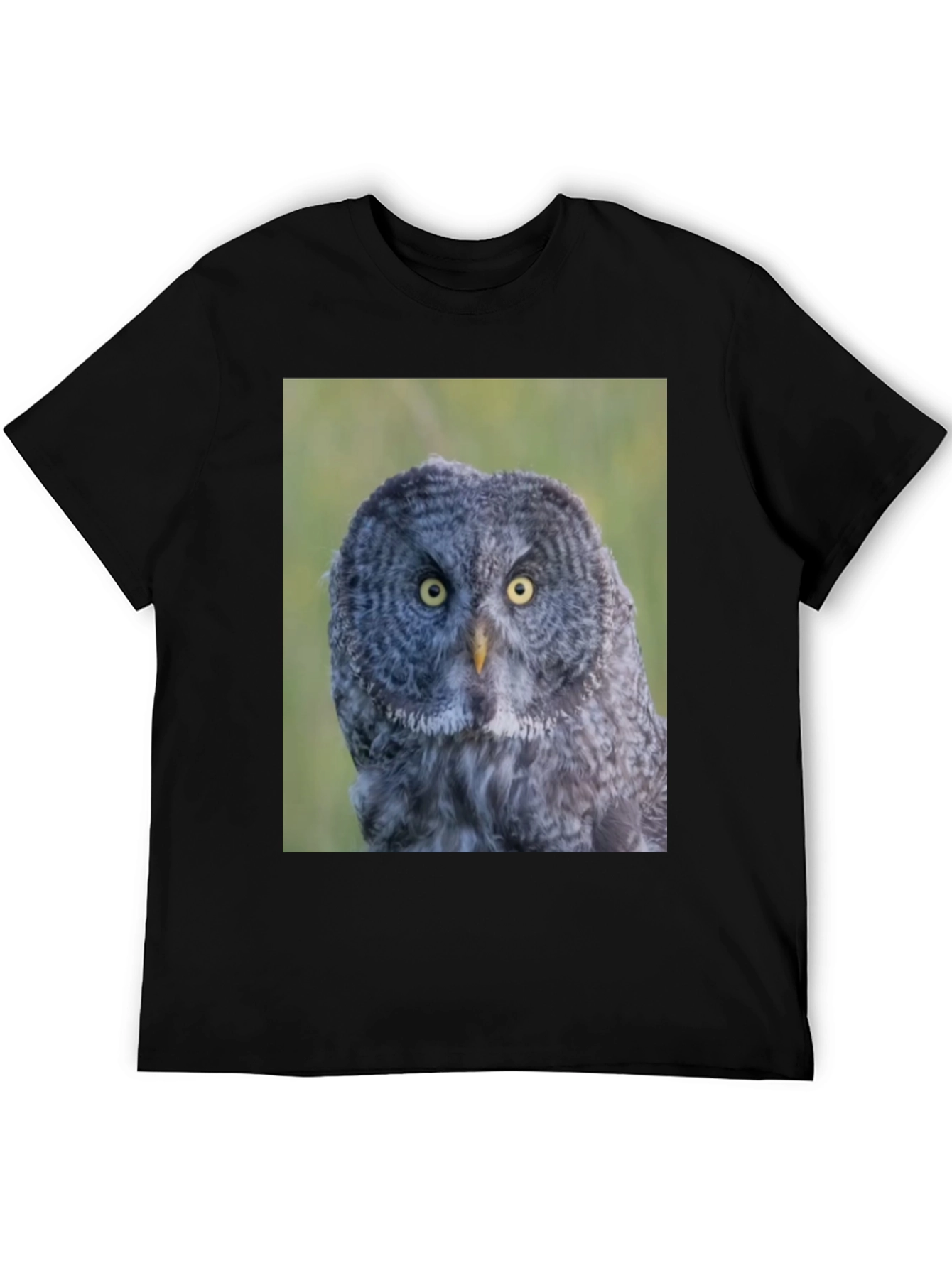 Owl Graphic Tee - Mens Black T-Shirt