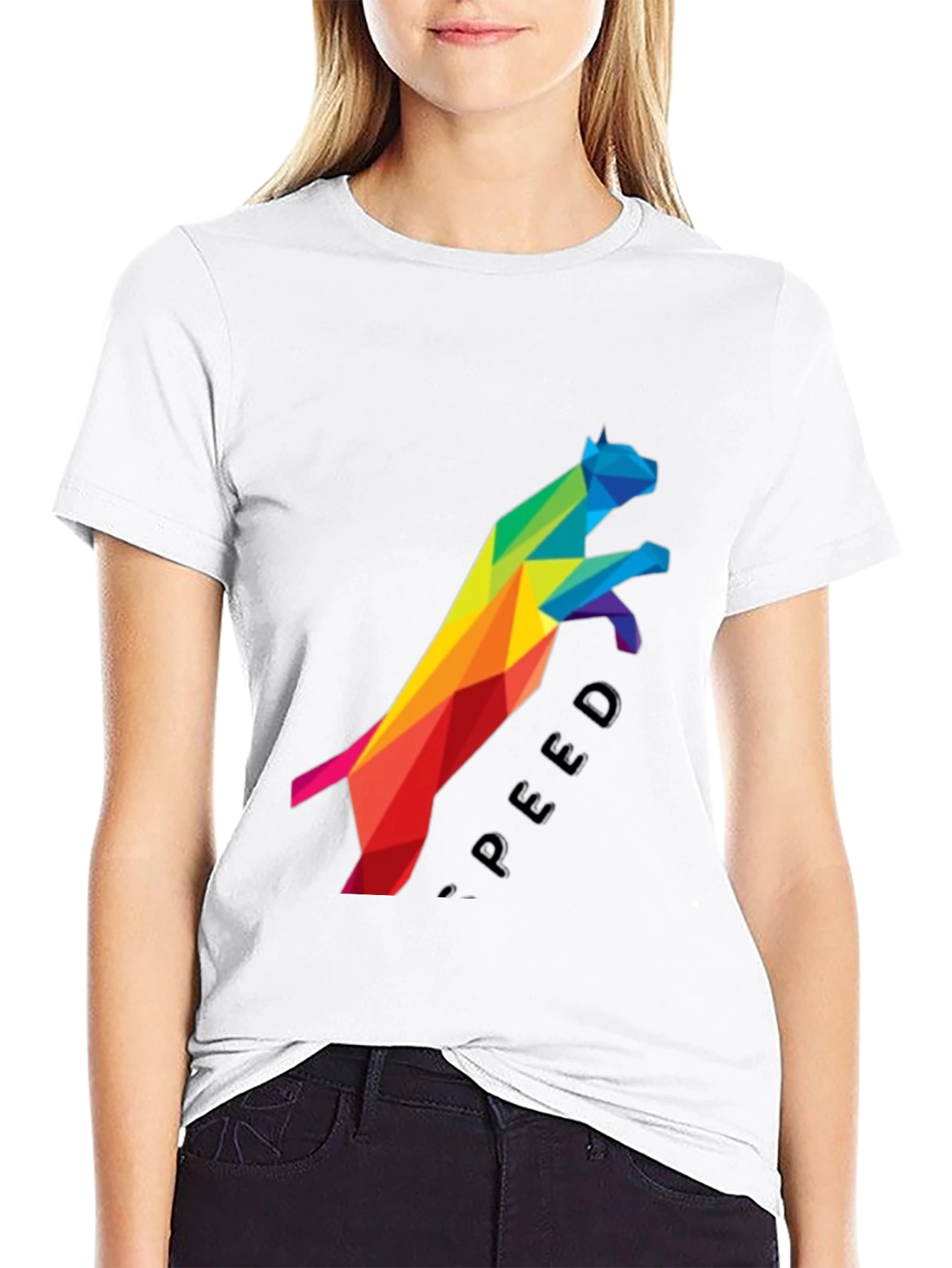 Geometric Rainbow Cat Speed Graphic Tee
