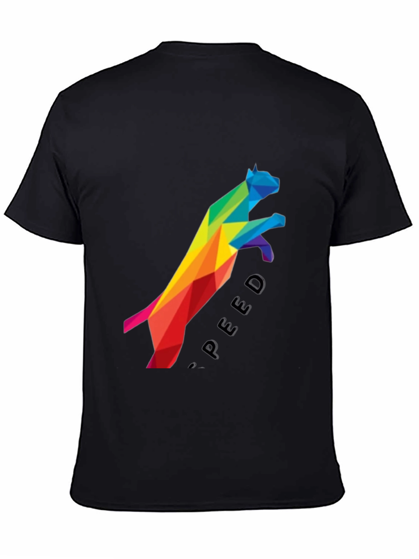 Geometric Rainbow Cat Speed Graphic Tee