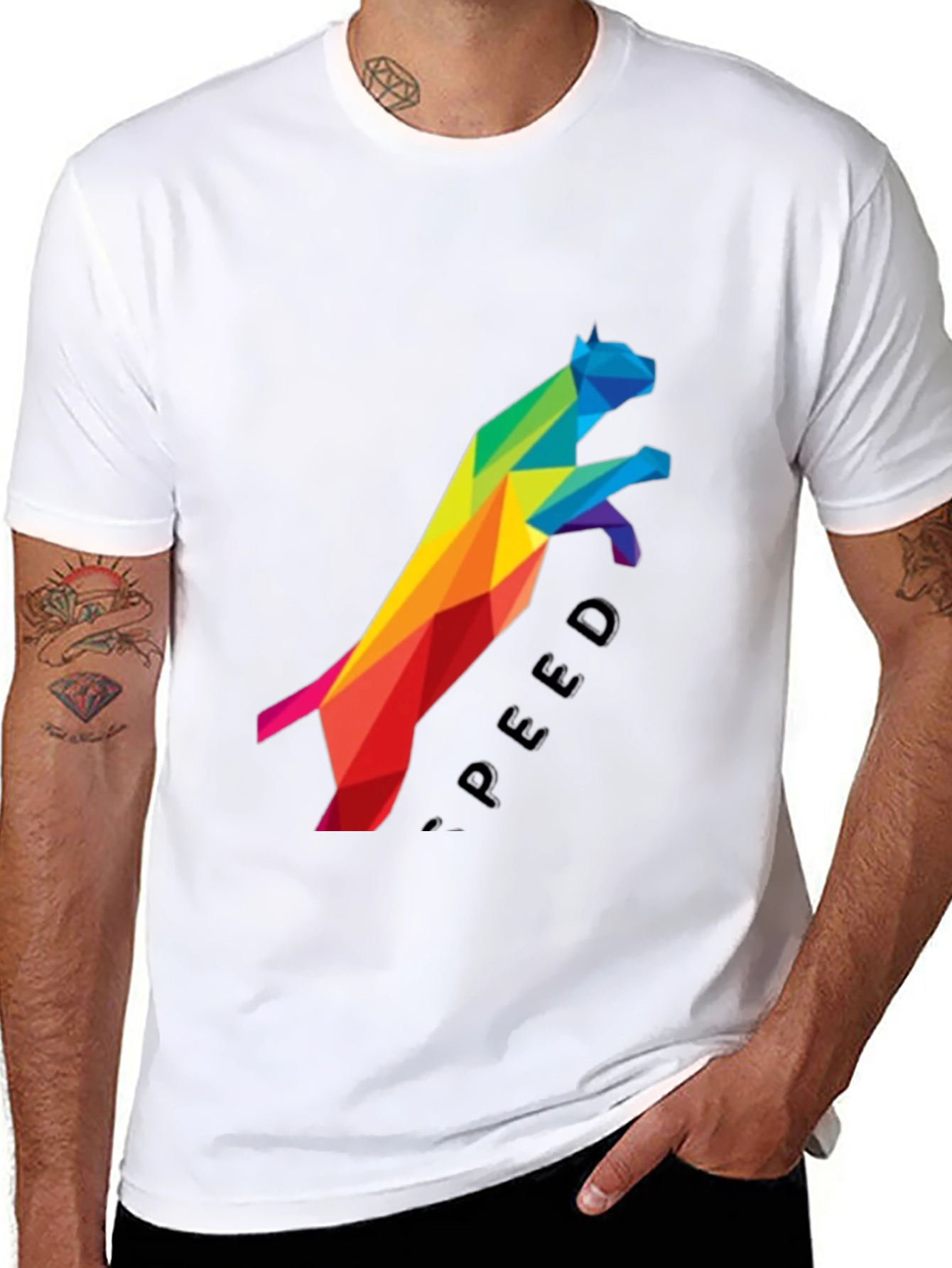 Geometric Rainbow Cat Speed Graphic Tee