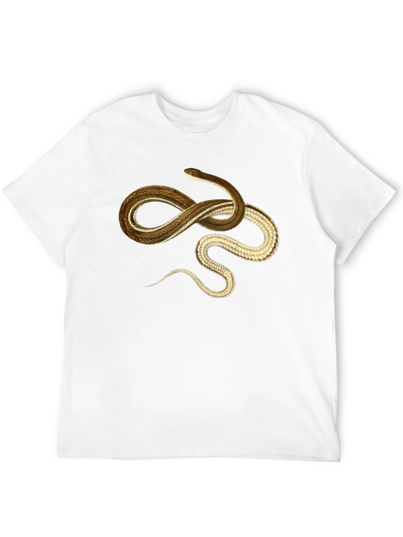 Snake Graphic T-Shirt - Casual Black Tee