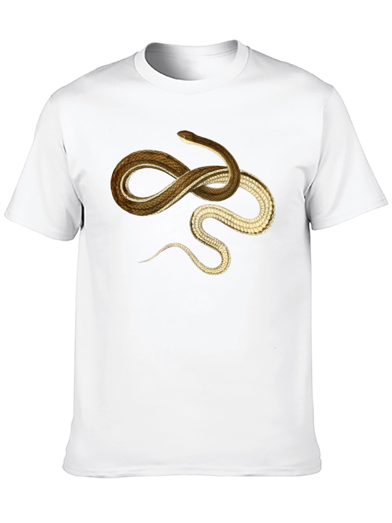 Snake Graphic T-Shirt - Casual Black Tee