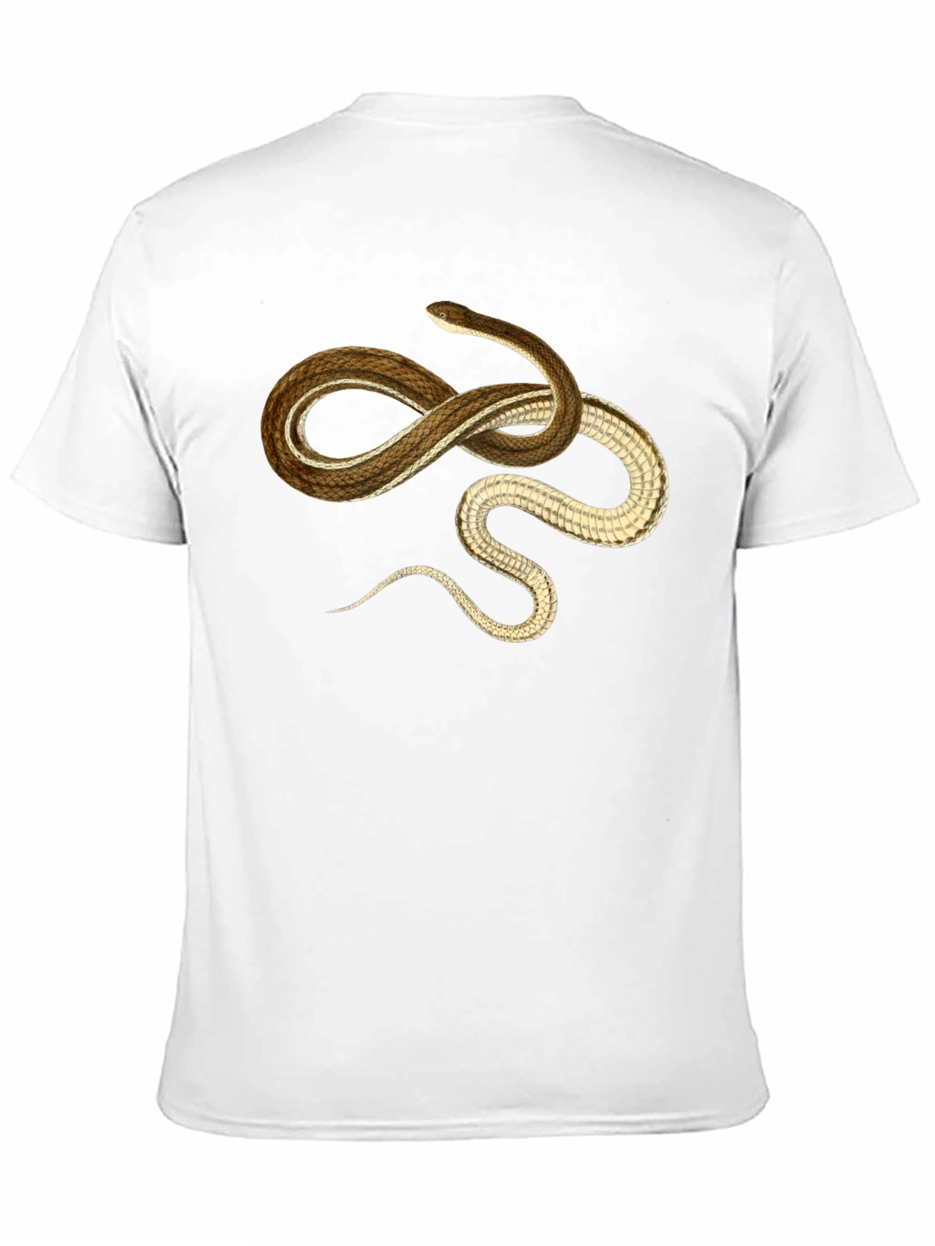 Snake Graphic T-Shirt - Casual Black Tee